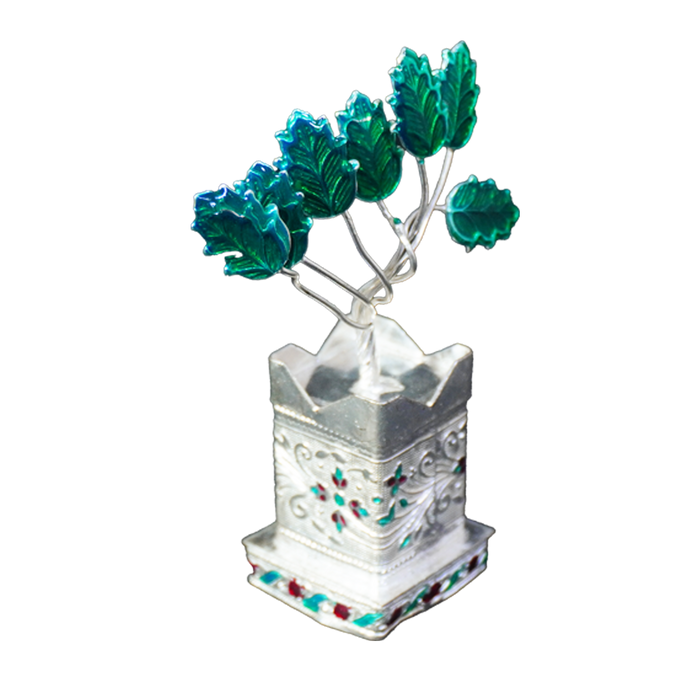 Square Shaped Tulsi Plant-King of Cards