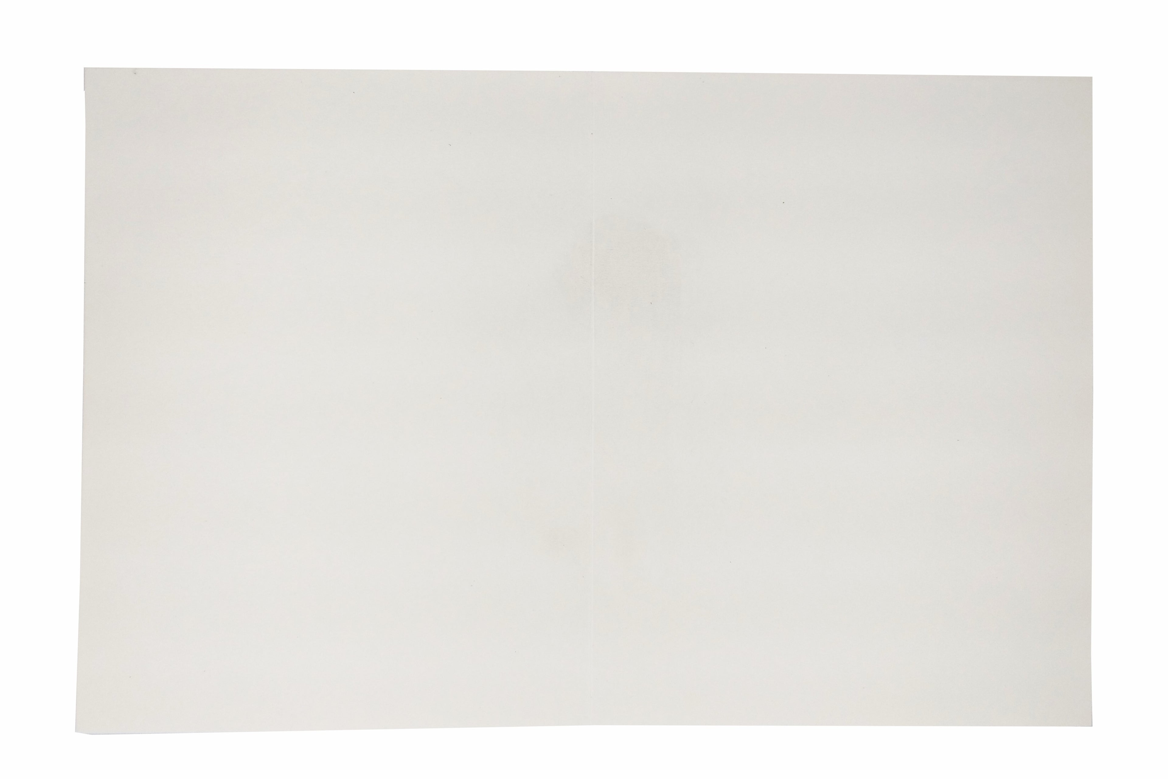White Jumbo Screen Embossed Floral With Gold Foiling-KNK40500