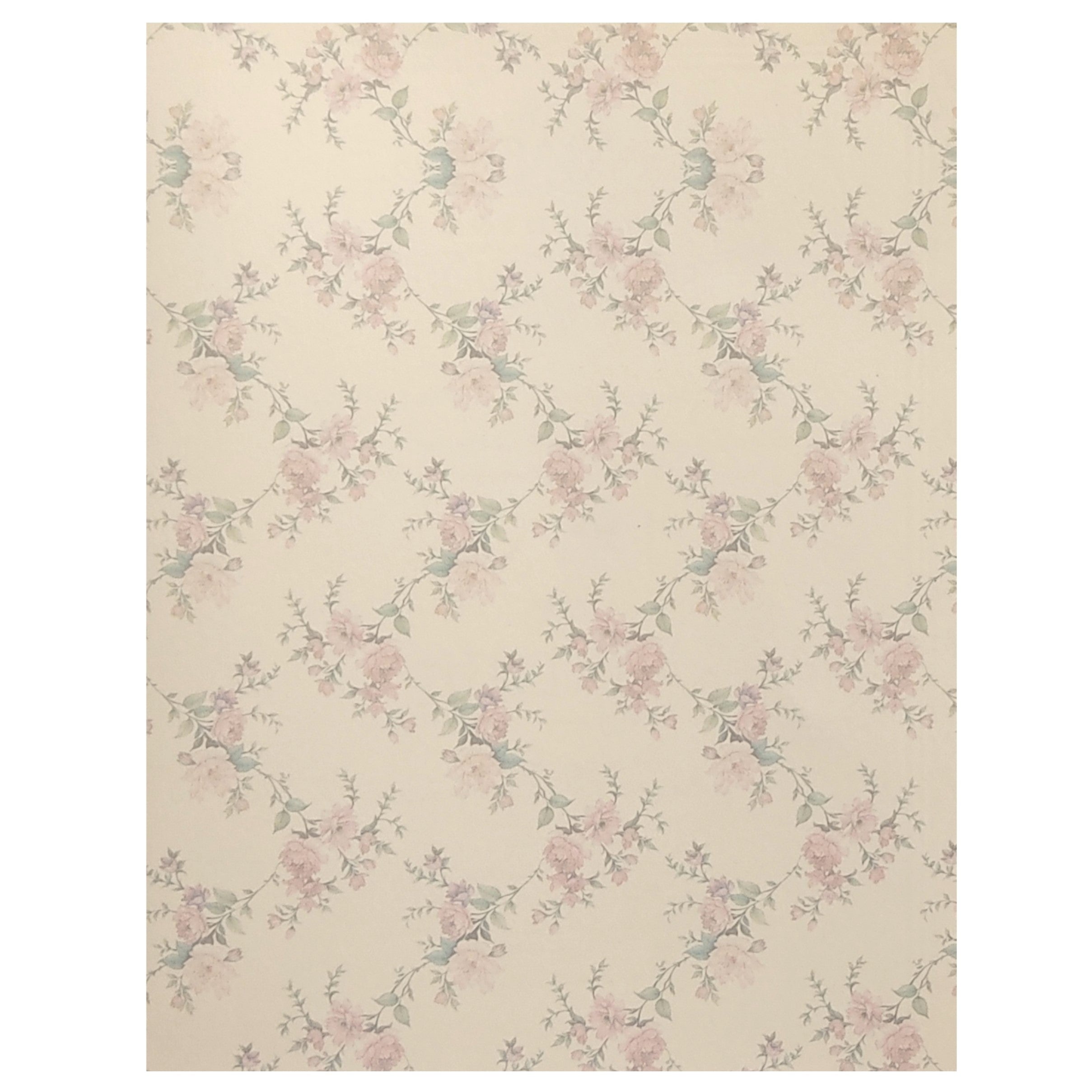 Invitation Card - KNKQ8303