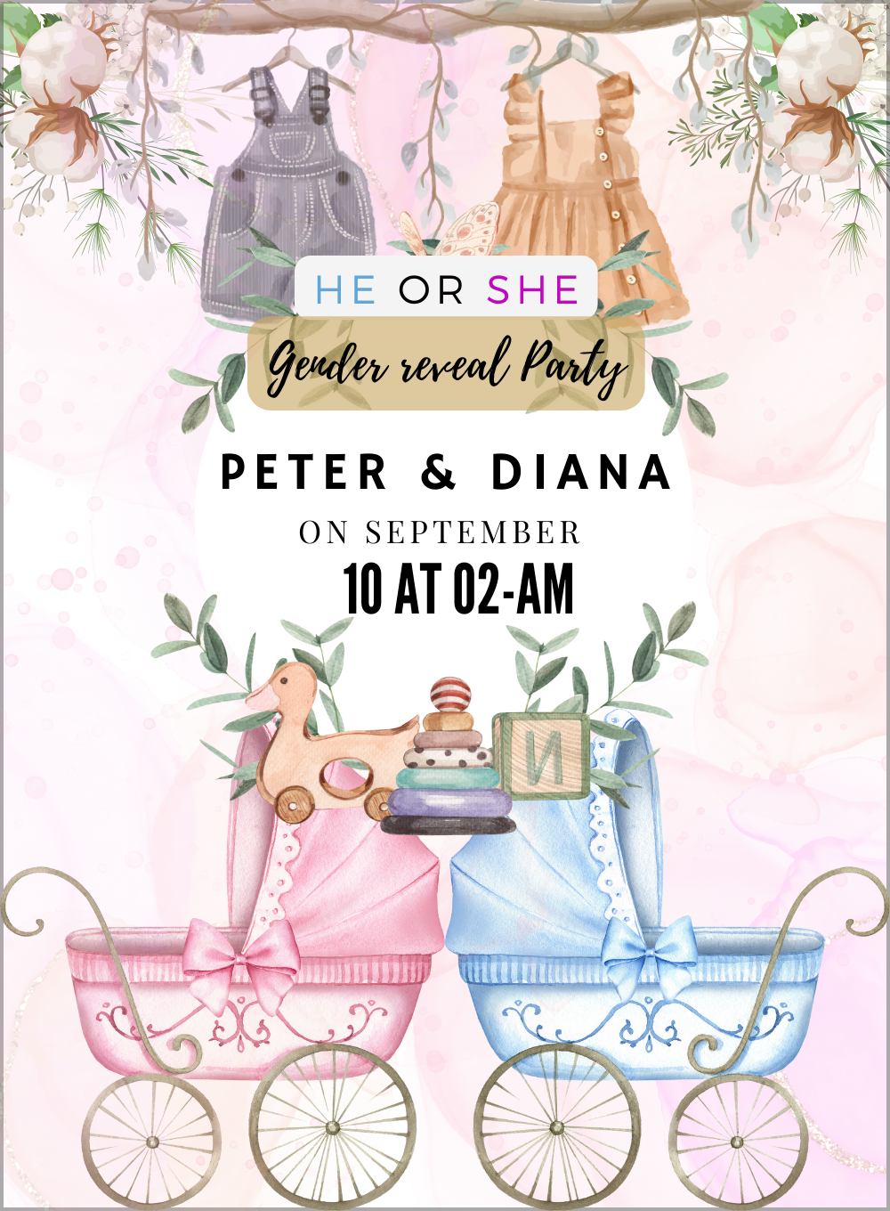 Baby Stroller Gender Reveal-AAGRI011