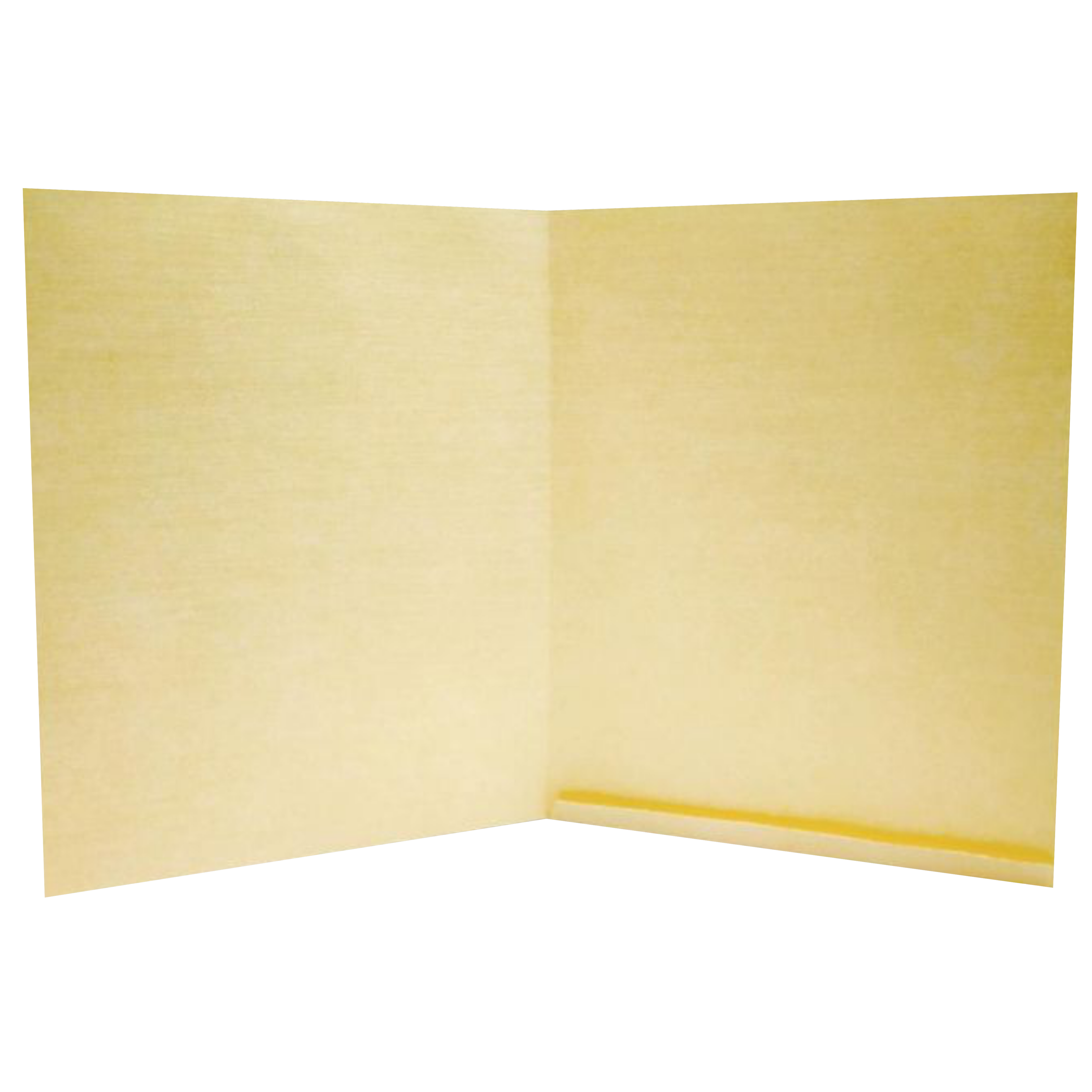Gold Jumbo Metallic Invitation With Gold Foiling-KNK50124