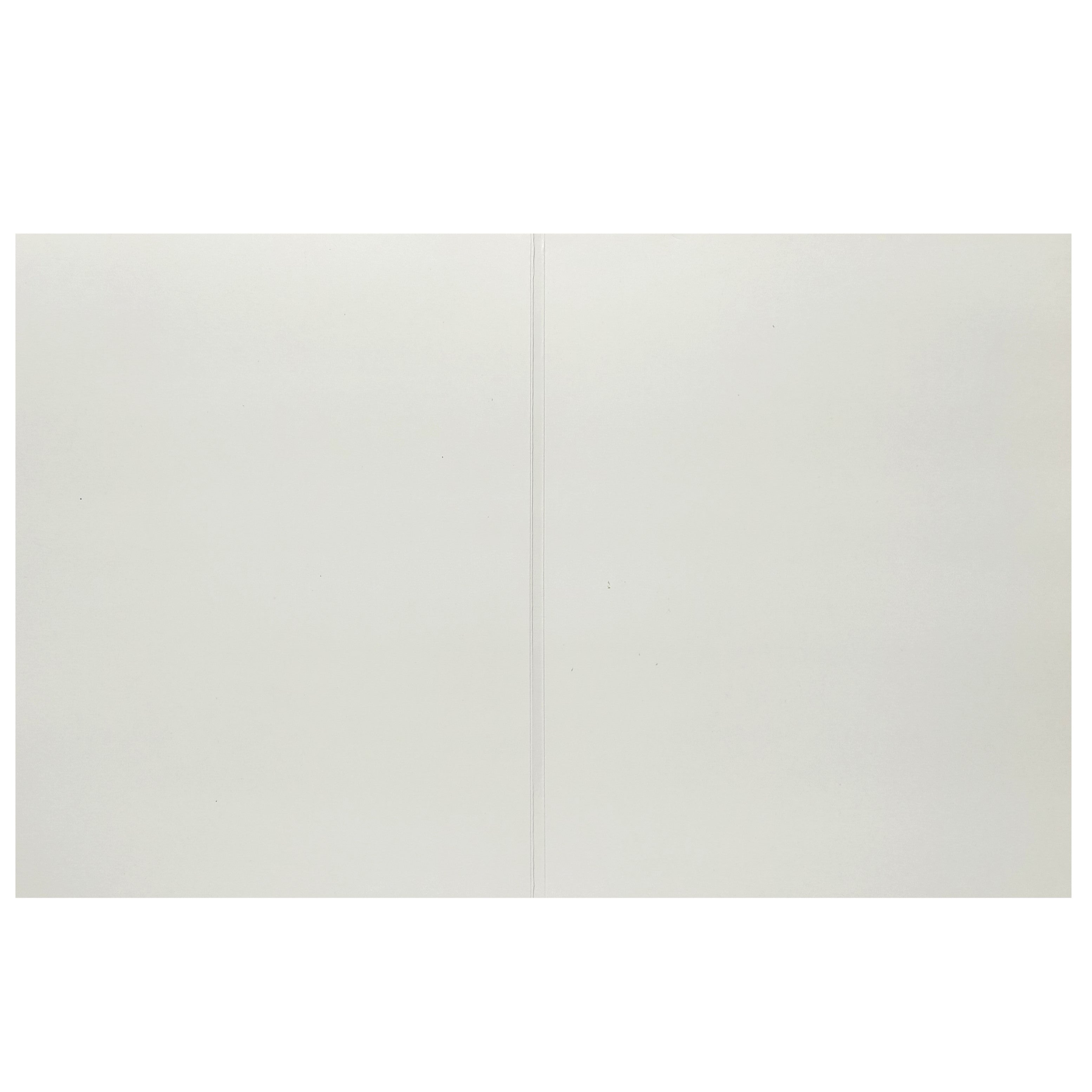 White Hindu Bride And Groom Wedding Card-KNK4102W