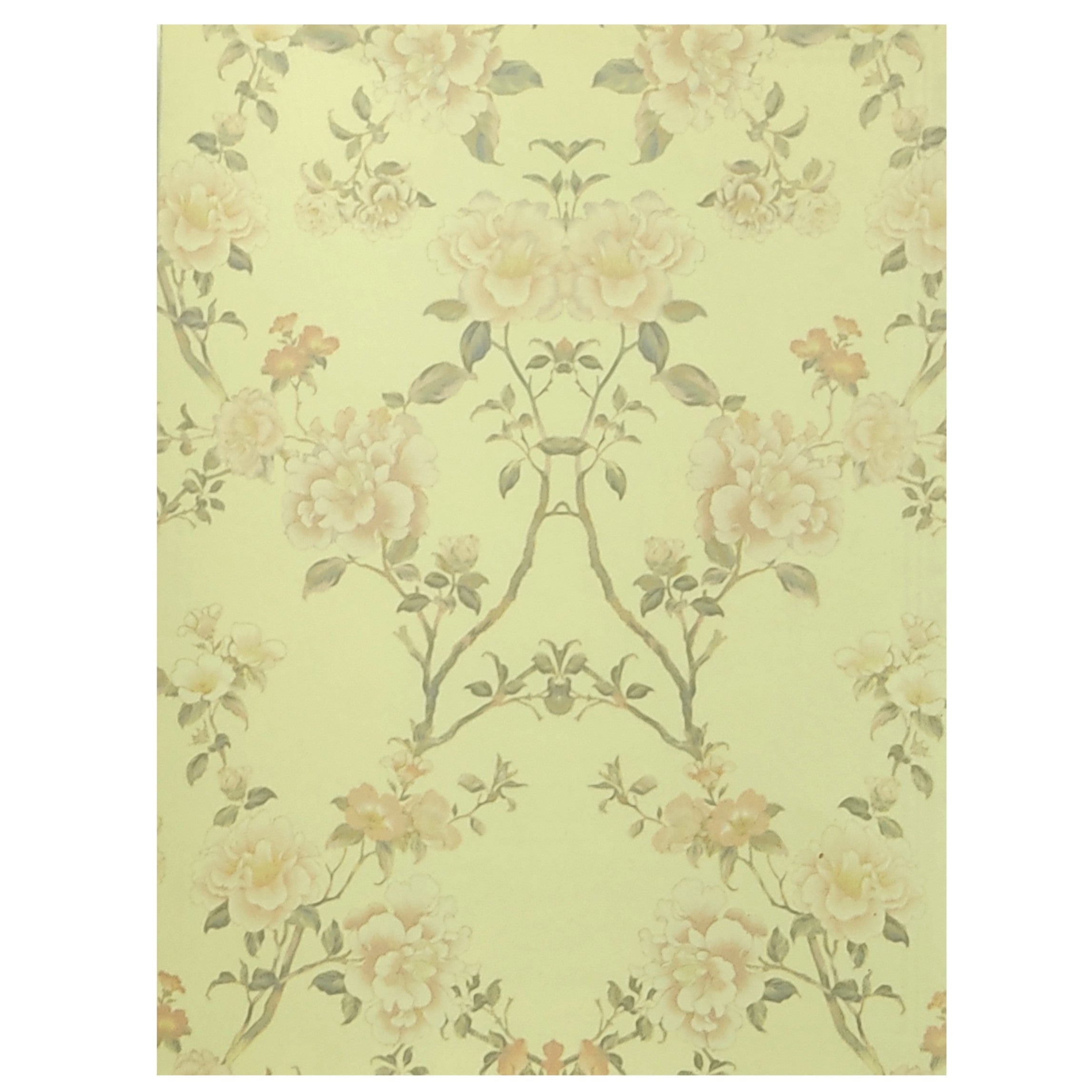 Invitation Card - KNKQ8302