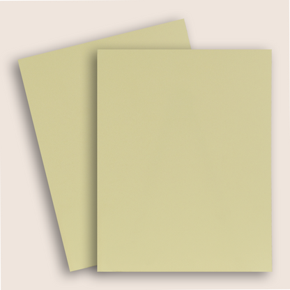Cream Padded Floral Invitation Card - KAA06430