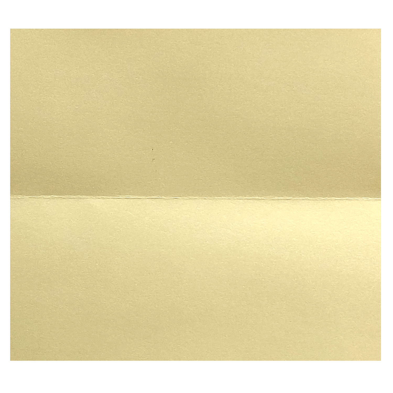 Cream Floral Ribbon Invitation Card-King of Cards