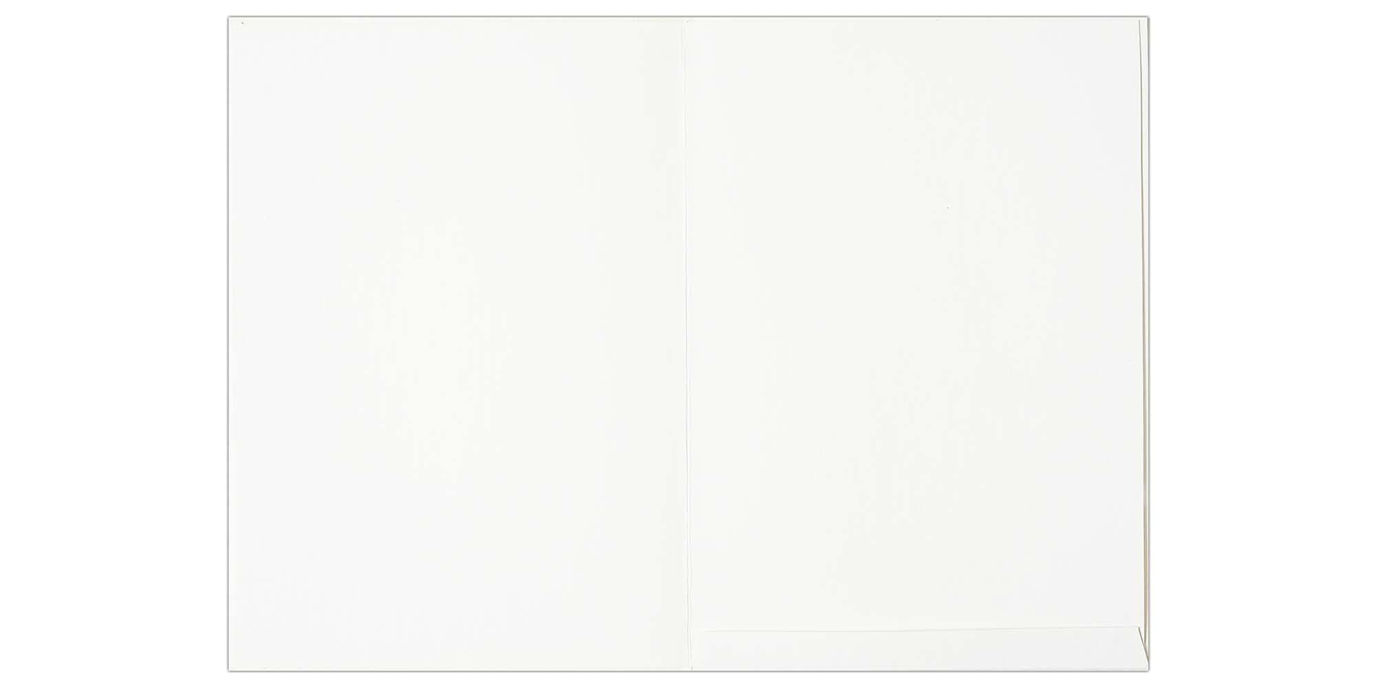Invitation Card - Soothing Wedding Invitation Card-KNK4891