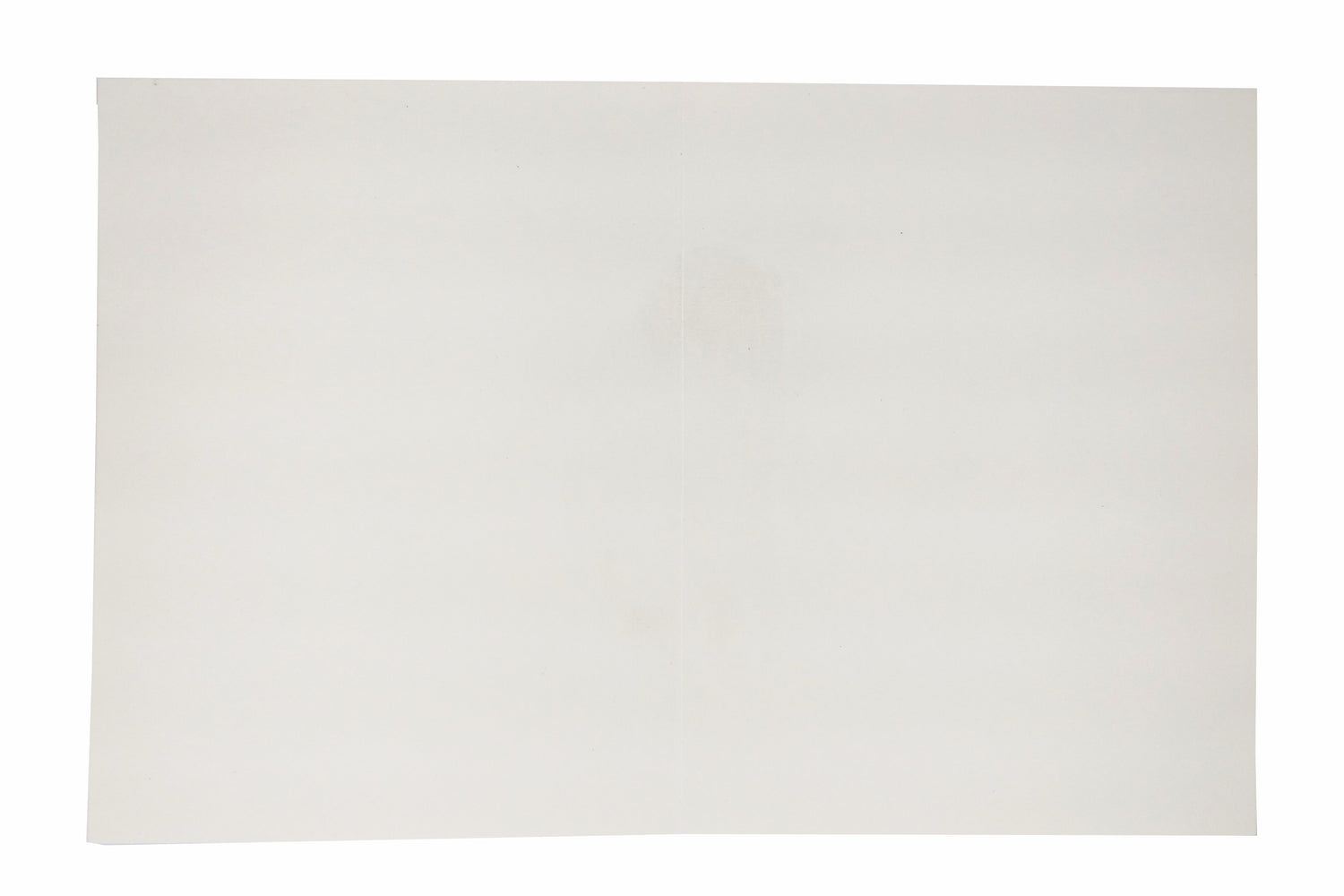 White Jumbo Screen Embossed Floral With Gold Foiling-KNK40500