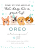 Colorful Paw Ty Pet Party Invitation-AAPET002