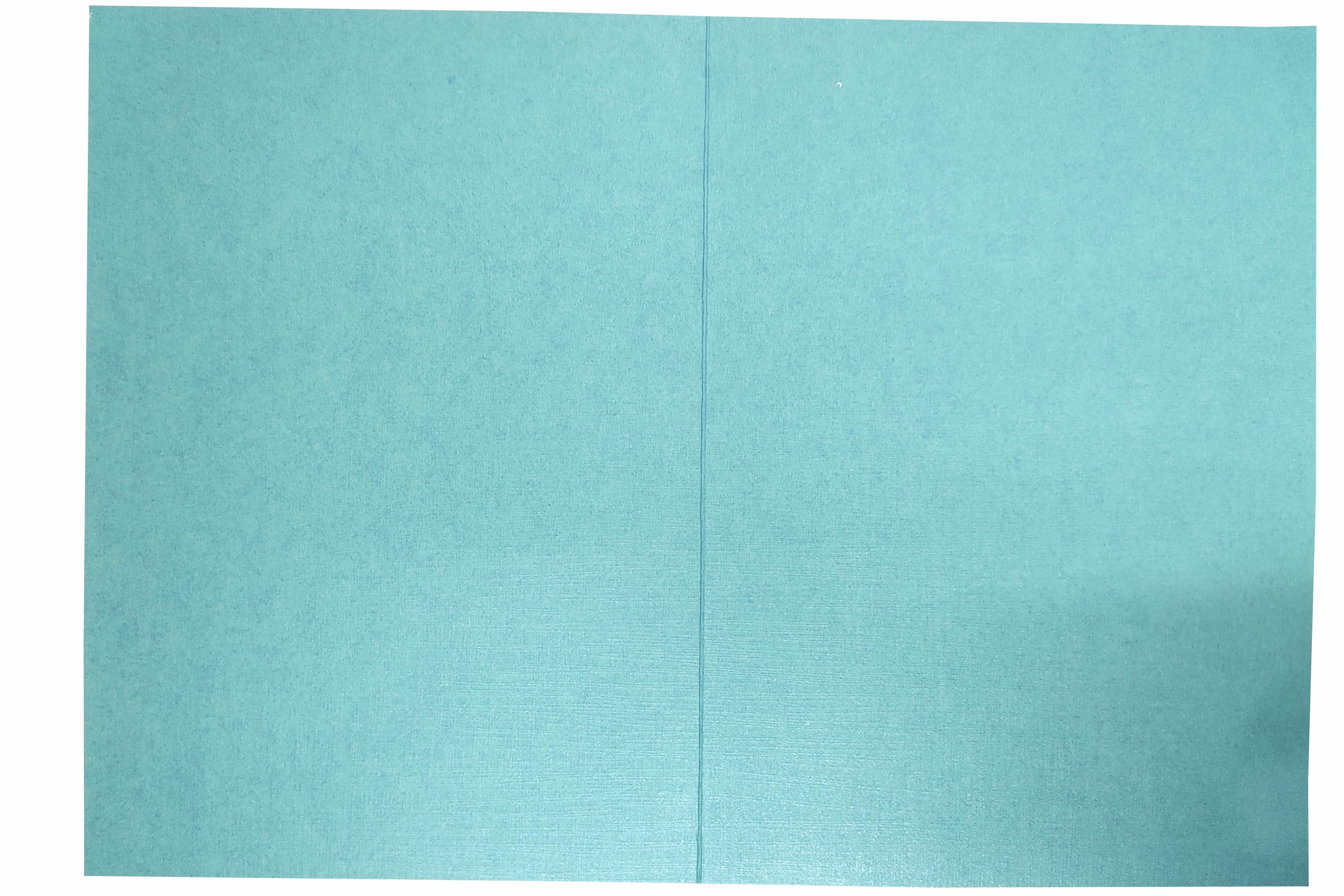 Light Blue Die Cut Floral Invitation Card-KNCW17BI