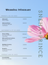 Blue Shoeflower Wedding Itinerary Invitation-AAWII024