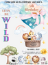 Colorful Hot Air Animals-AAANI009
