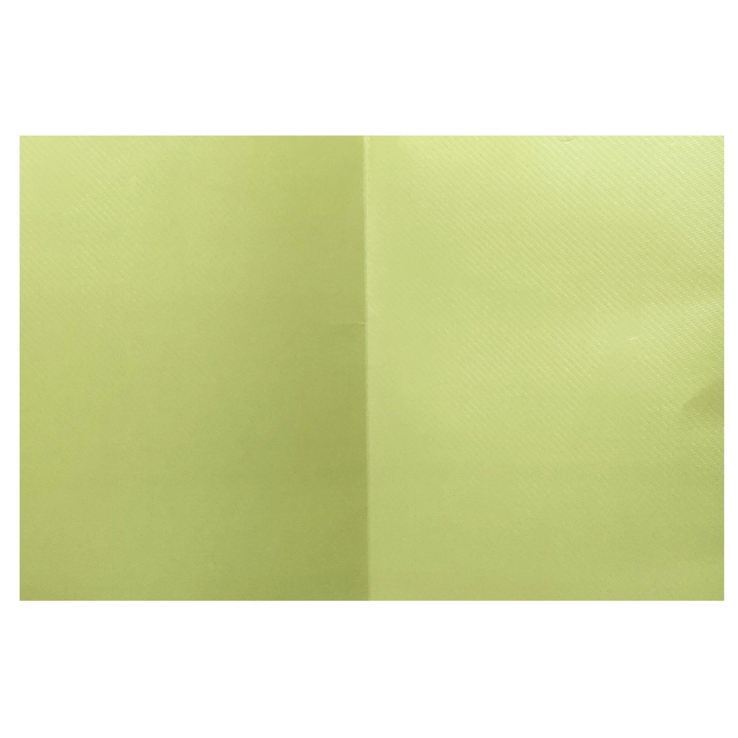 Light Green Floral wedding Invitation Card-KNK8704LG