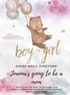 Pink Teddy Gender Reveal-AAGRI012