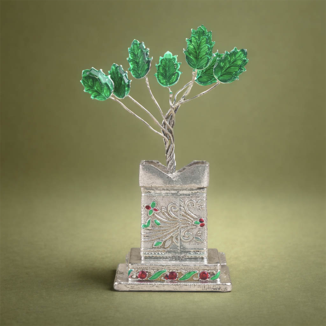 Square Shaped Tulsi Plant-GRI0500