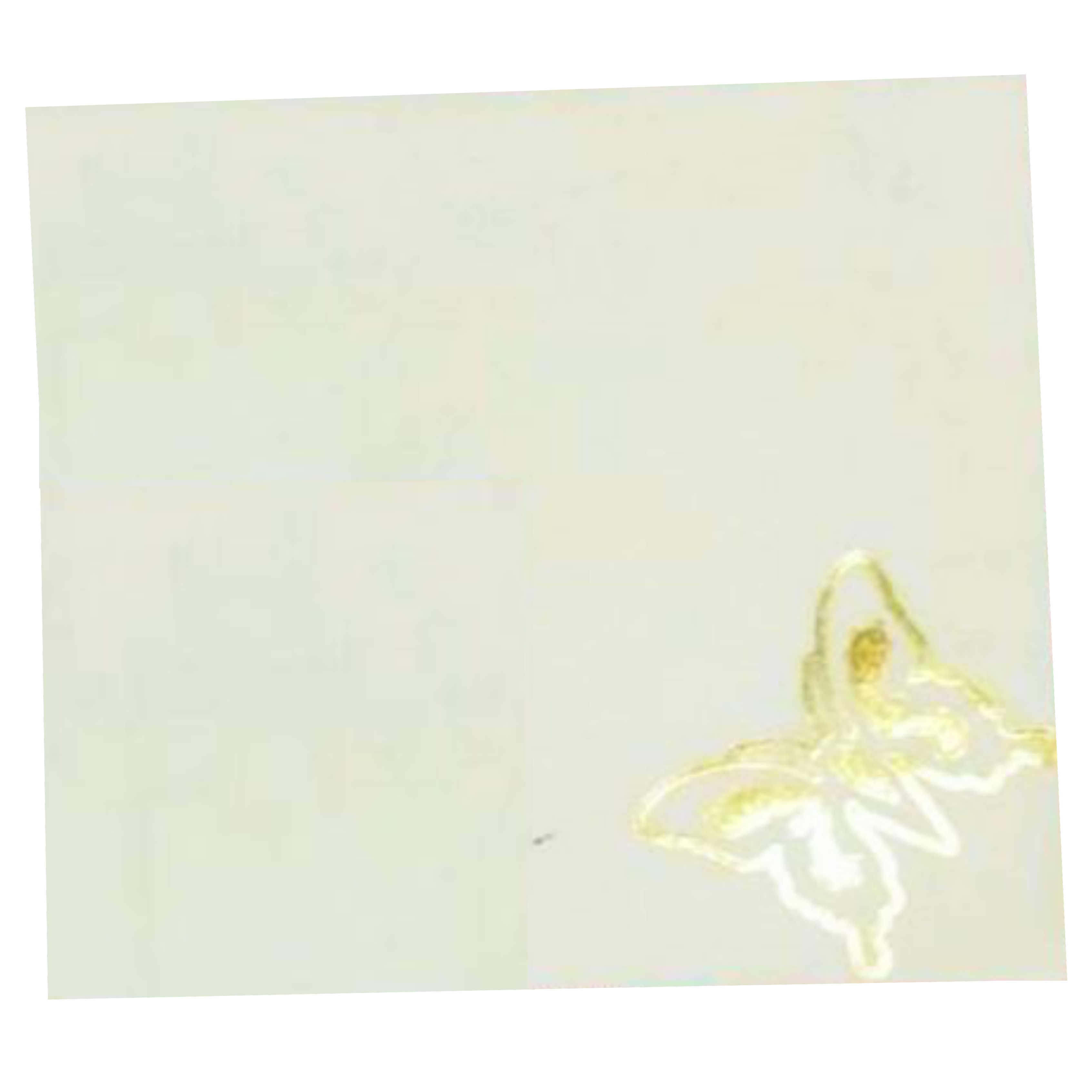 Invitation Card - CXP139