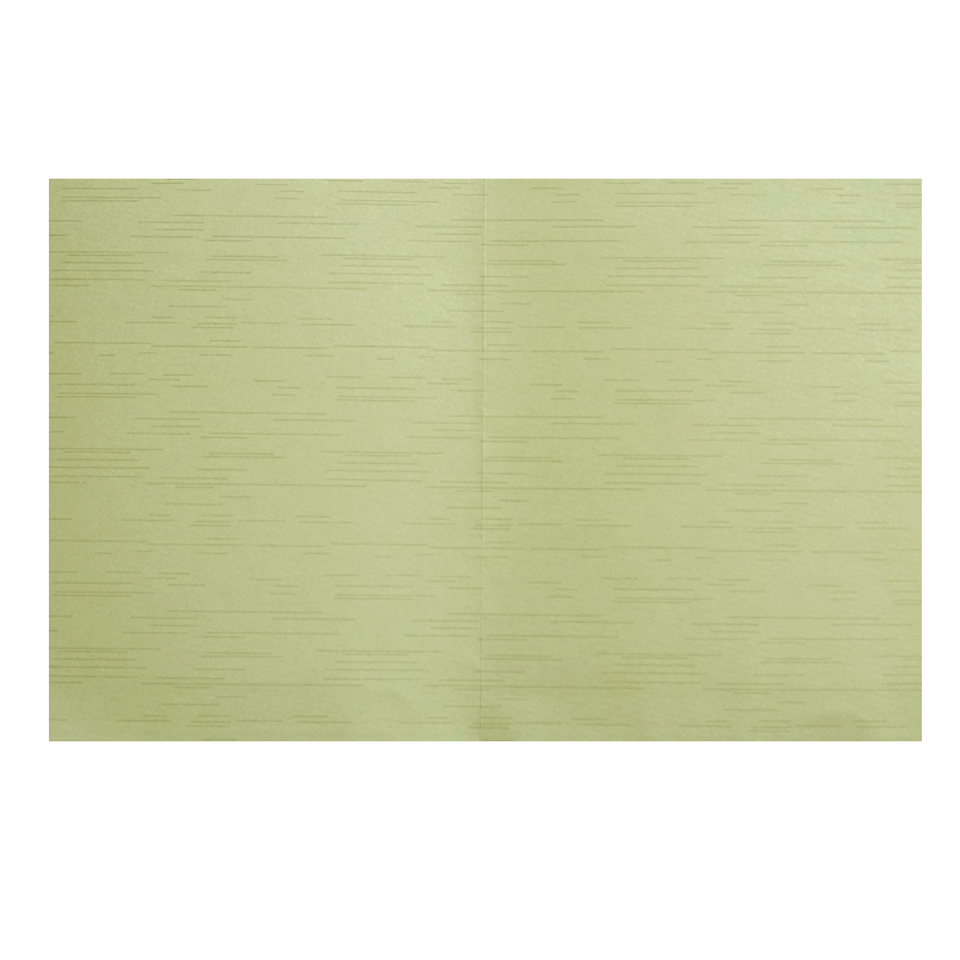 Pista Green Ganesha Wedding Card-KNKR026N