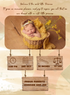 Yellow Basket Baby Birth Announcement Invitations-AABBA013