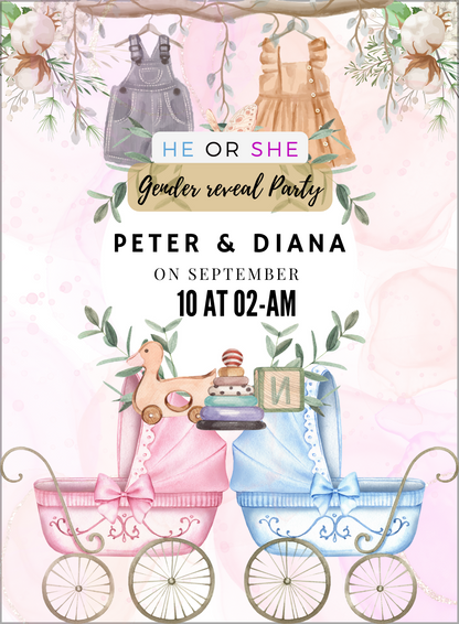 Baby Stroller Gender Reveal-AAGRI011