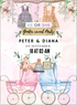 Baby Stroller Gender Reveal-AAGRI011