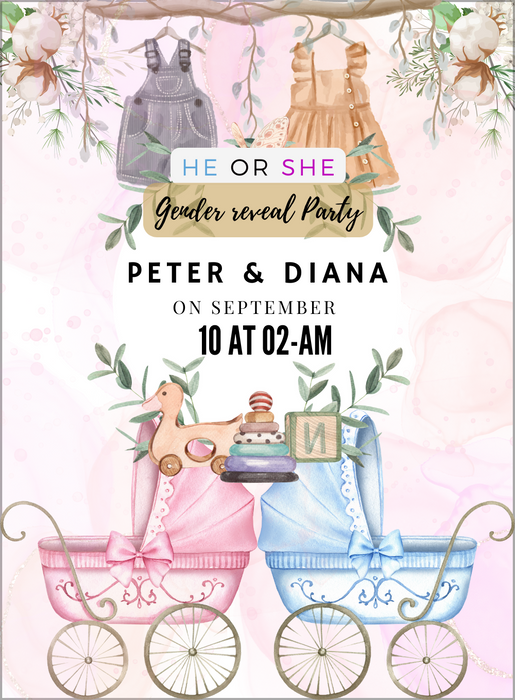 Baby Stroller Gender Reveal-AAGRI011