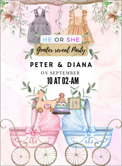 Baby Stroller Gender Reveal-AAGRI011