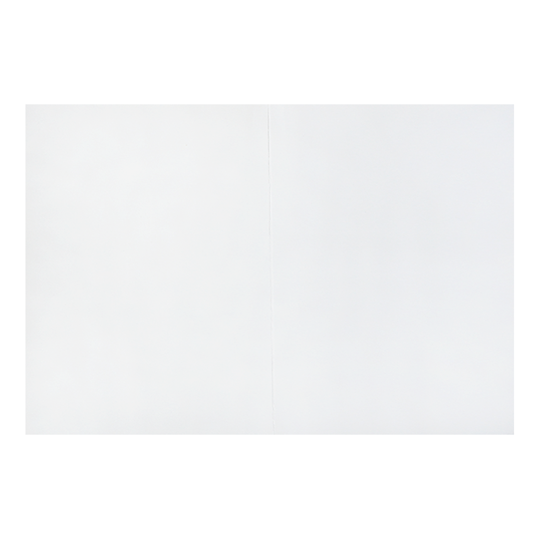 Green and White Bhaarat Wedding Card-KNJS2089G