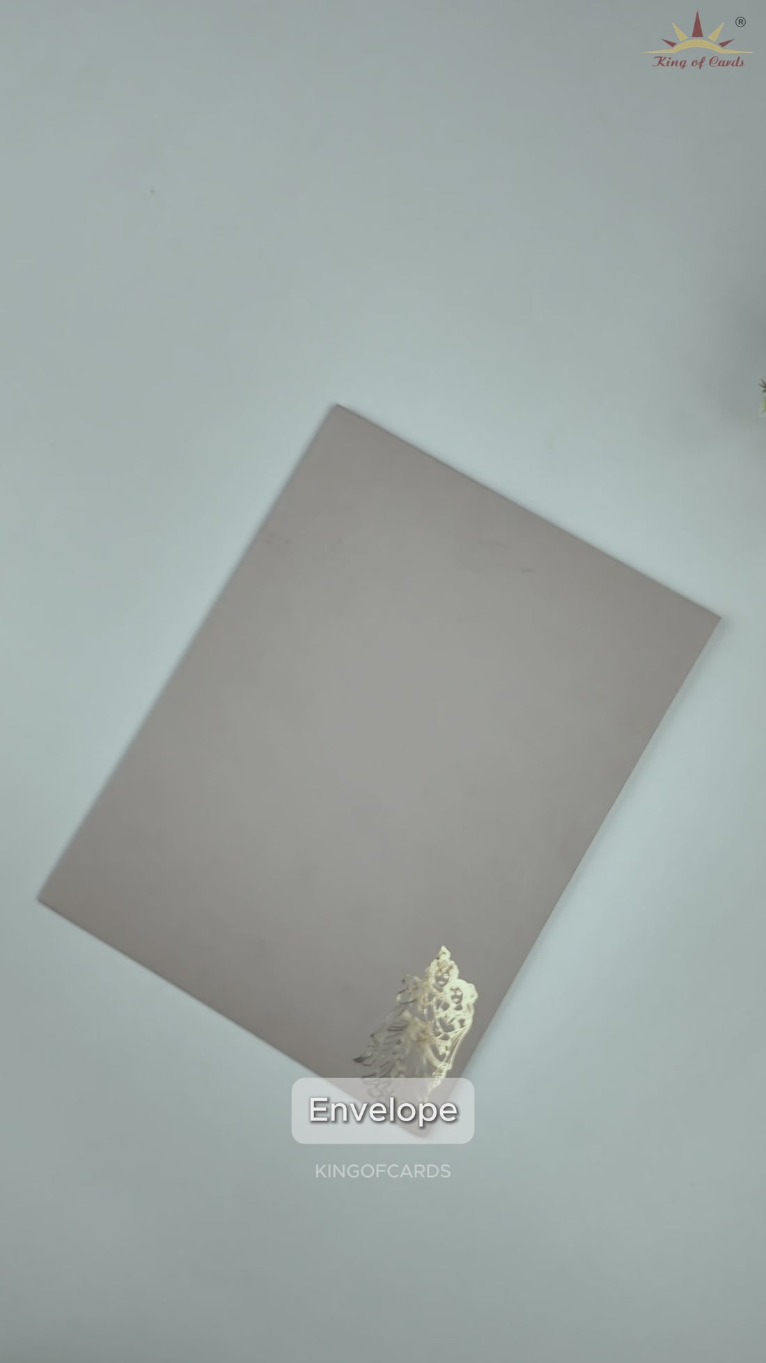 Light Grey Lord Radha Krishna Door Style Wedding Card - KNRR8709LG